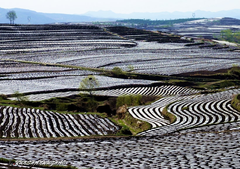市值萬(wàn)億的農(nóng)村黑土地，這些方向還有機(jī)會(huì)變“網(wǎng)紅”！