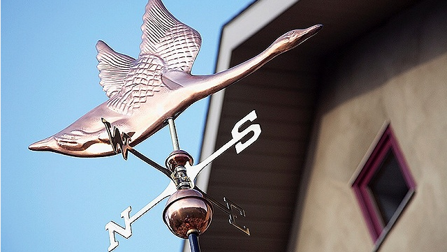 下一個風(fēng)口