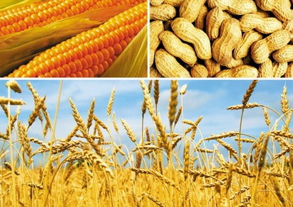 農副產品 農副產品