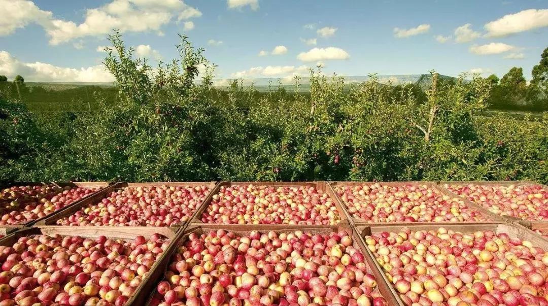 1522717896489953.jpg 微信圖片_20180403091035.jpg