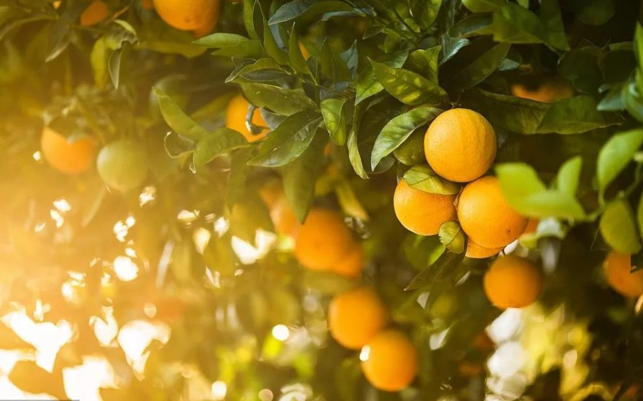 1526000003785555.png image.png