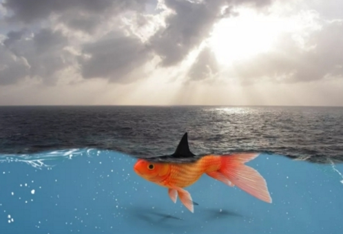 1530188560128754.png 13.png