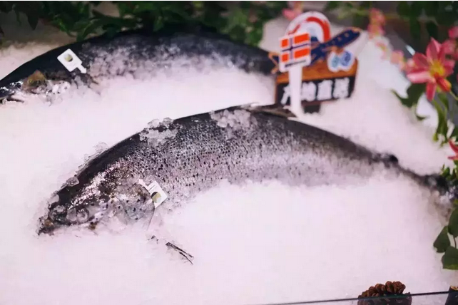 1533784095381412.png blob.png