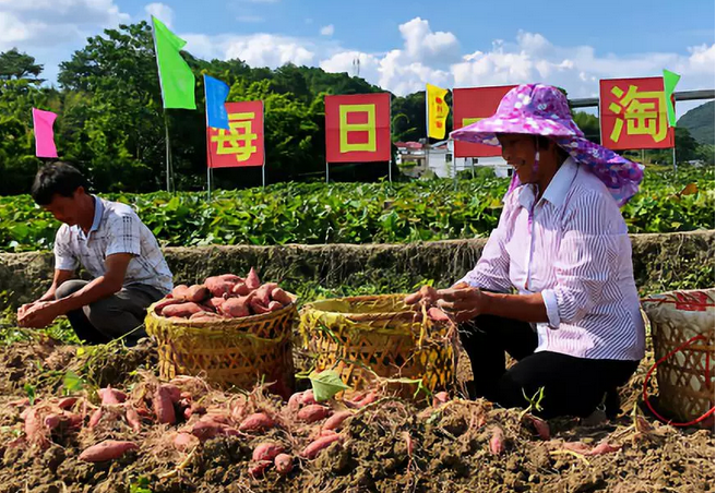 1542594314690956.png blob.png