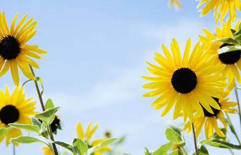 阿里上市給杭州帶來什么 電商生態鏈反哺“智慧之城”