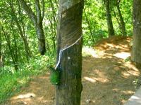 
大宗商品價格創(chuàng)新低令下游公司受益