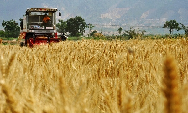 2014年中國(guó)農(nóng)業(yè)的九個(gè)大膽預(yù)測(cè)