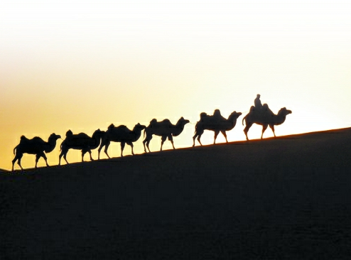 
西安將建“網上絲路”跨境電子商務平臺