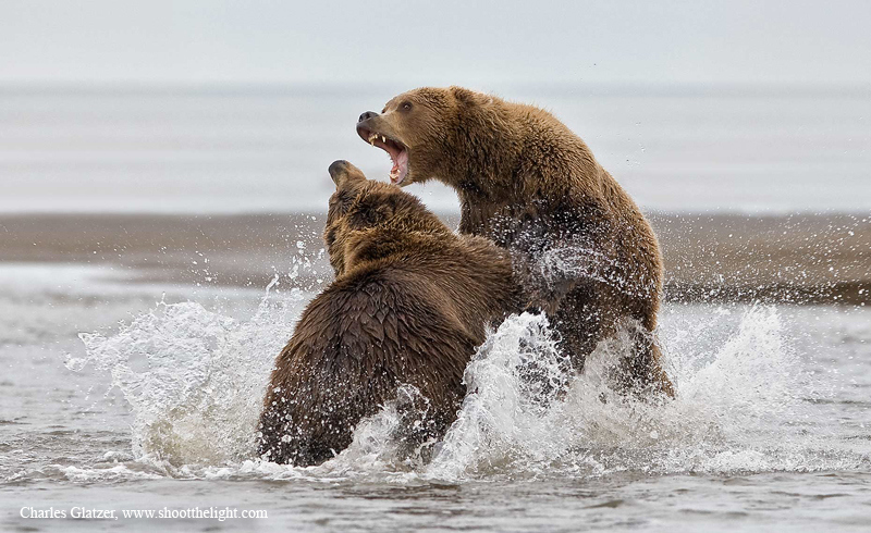 
電商開打金融戰