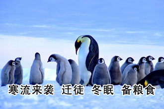 
一達通：出口企業請準備三塊“救生板”