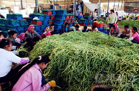 
32家農批市場組團上網 已組建電商子公司