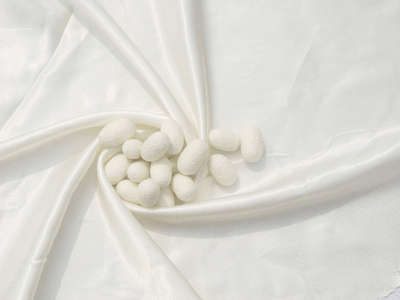 
國內首家B2B網絡蠶絲館上線運營