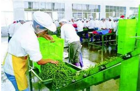 
甘肅隴南跨入電商時代 探索新商業模式