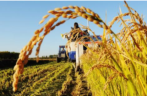 
浙江首個(gè)農(nóng)資電商平臺“智慧農(nóng)資”上線