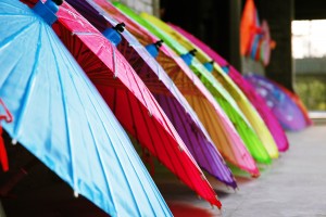 
嘉興企業借電子商務闖海外 政府埋單搭臺