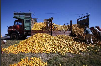 
生意社：大宗商品市場顯現回暖