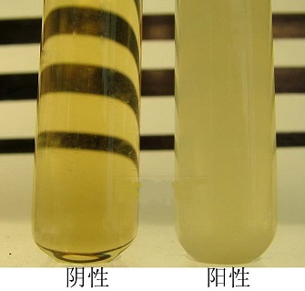 
首家科技服務B2B平臺設生化試劑配送中心