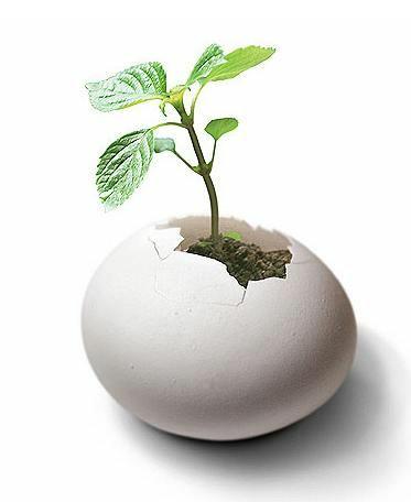 
生意寶全面推進三大戰略初見成效