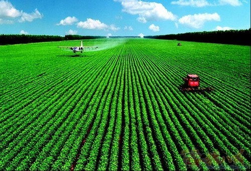 
江蘇農業信息化提速 農業電商平臺近萬個