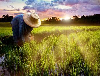 敦煌網海外營造中國熱 多國來學跨境電商