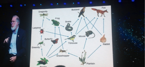 
大企業B2B采購成趨勢 工程機械電商迎機遇