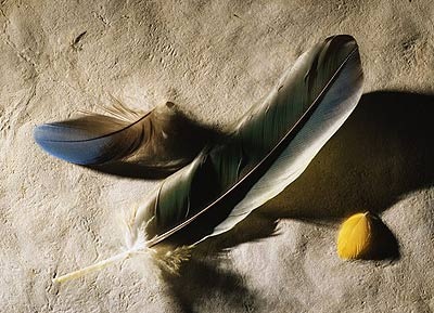 
三弘攜手渤商所成立首個羽絨網上交易中心