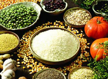 中國種業網交會擬杭州召開 助推農業電商進程