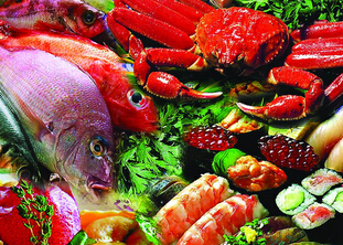 中國水產商務網正式上線運行 將推動現代漁業發展