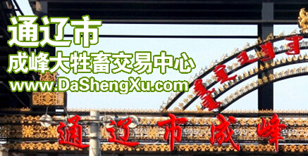 成峰牲畜交易市場的牲畜B2B生意