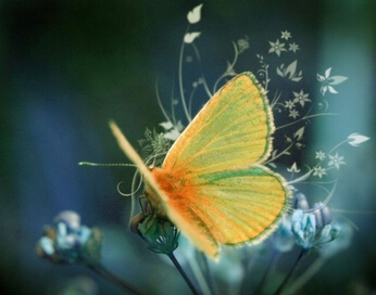 BAT浪潮成傳統企業二次崛起推手 基金追尋蛻變邏輯