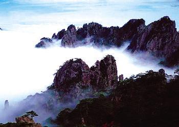 力行網(wǎng)絡(luò)：打造出境目的地旅游分銷平臺(tái)