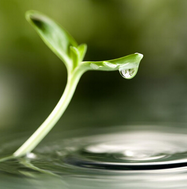 山東省慶云電商交易額已經突破5000萬元