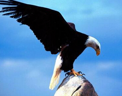 大宗商品交易市場行業高端智庫分三步走