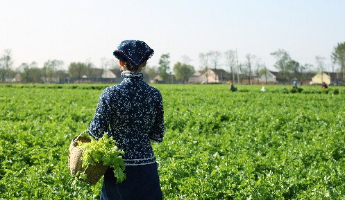 阿里紅安產業帶上線 提升競爭力打造湖北品牌