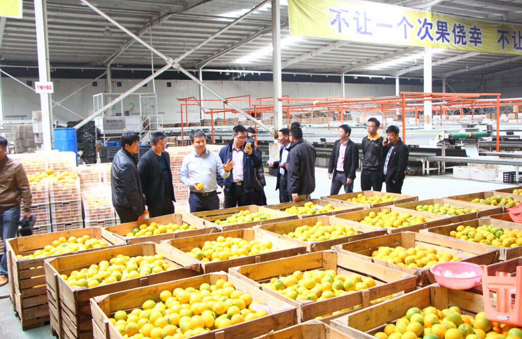 助力農村戰略 1688產地直供打通上下游供應鏈