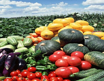 新華浙江大宗與阿里務共生互補 再造一個偉大企業