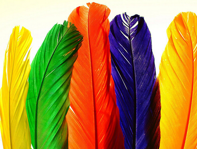 慧聰網(wǎng)入選2013年上海電子商務(wù)雙推平臺(tái)