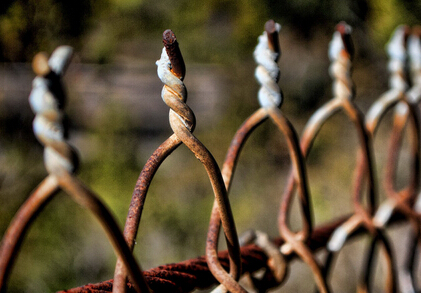 9家鋼企年度業績預警 僅沙鋼一家凈利增長