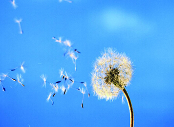 中國電商發力改寫歷史 布局全球創神話