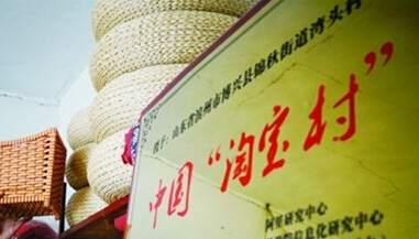 電子商務成為桐鄉農民“掘金寶庫”