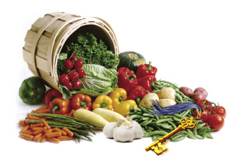 浙江農產品扎堆大宗交易