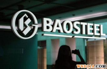 寶鋼股份電商平臺(tái)主題電話會(huì)議紀(jì)要