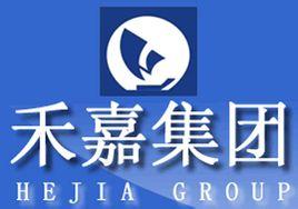 禾嘉股份定增48.48億元轉(zhuǎn)型電子商務(wù)供應(yīng)鏈項(xiàng)目