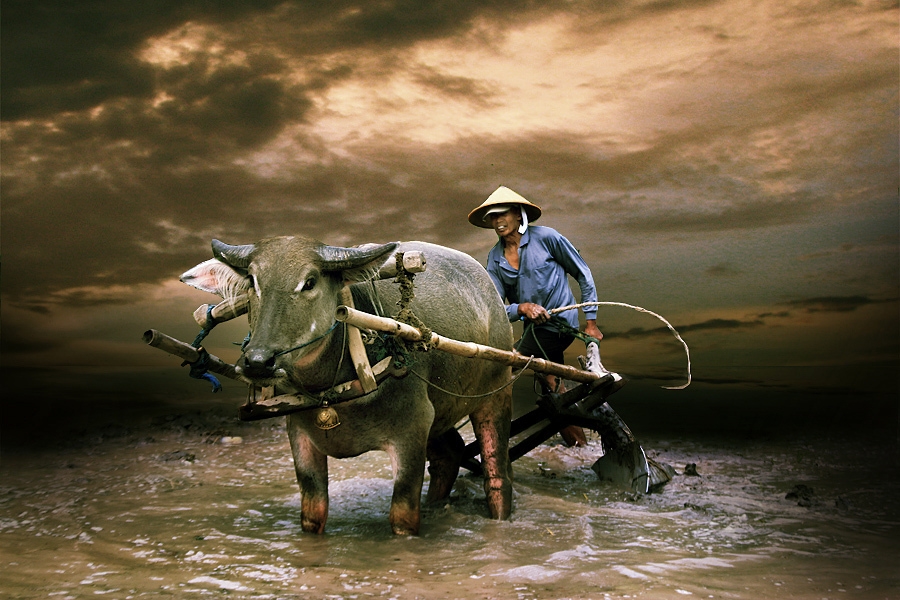 它搶在淘寶和京東前完成了農村電商布局