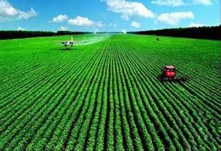 市場+政策共助力 農業電商迎來大機遇