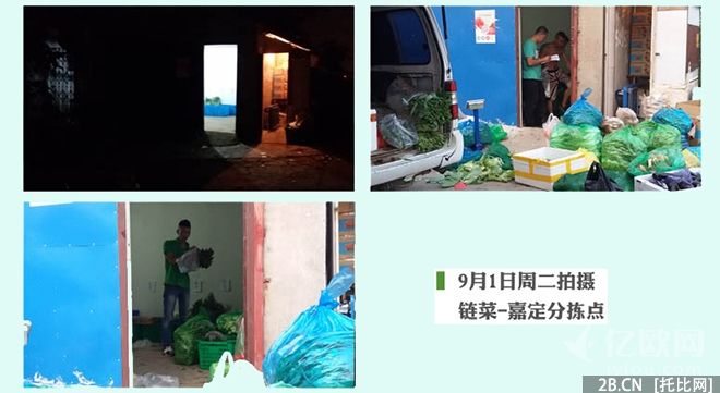 鏈菜-野路子能走多久？