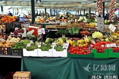 生鮮；食材；供應鏈