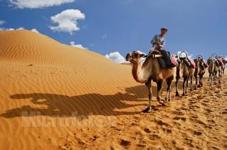 打造網上絲綢之路 提高企業國際競爭力